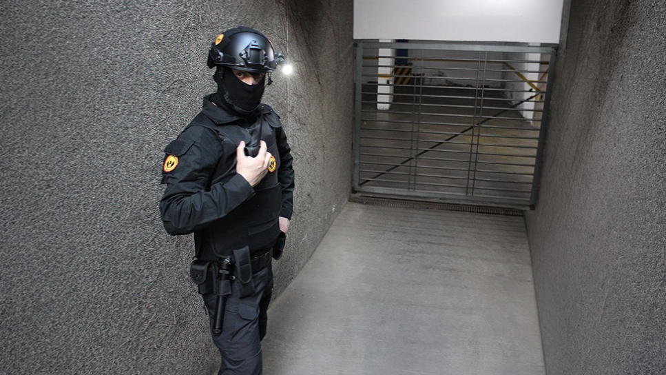Guardias Tácticos